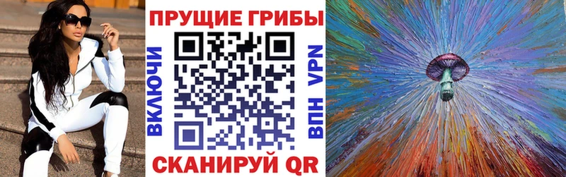Купить  Тара  Псилоцибиновые грибы GOLDEN TEACHER 